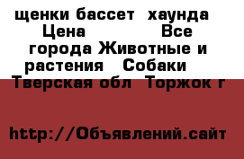 щенки бассет- хаунда › Цена ­ 20 000 - Все города Животные и растения » Собаки   . Тверская обл.,Торжок г.